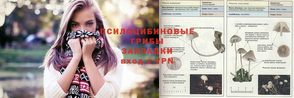 гидропоника Алексеевка