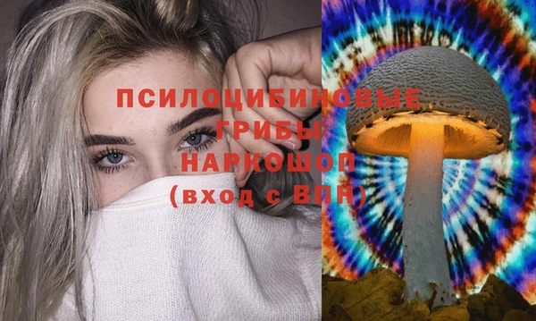 гидропоника Алексеевка